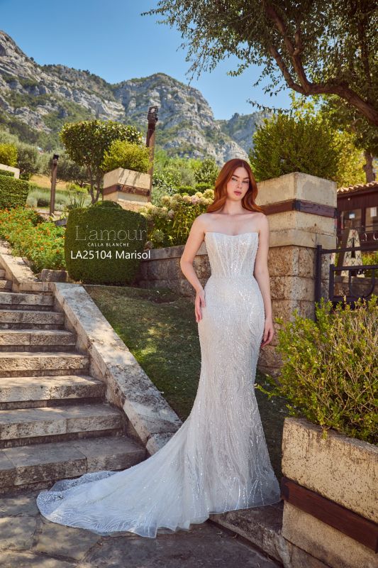 Size 12 L'amour LA25104 Marisol Ivory/Light Nude Gown – Bridal Sense